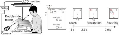 Simultaneous EEG-NIRS Measurement of the Inferior Parietal Lobule During a Reaching Task With Delayed Visual Feedback